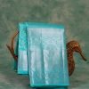 Bridal Kanchi Pattu BKP 24