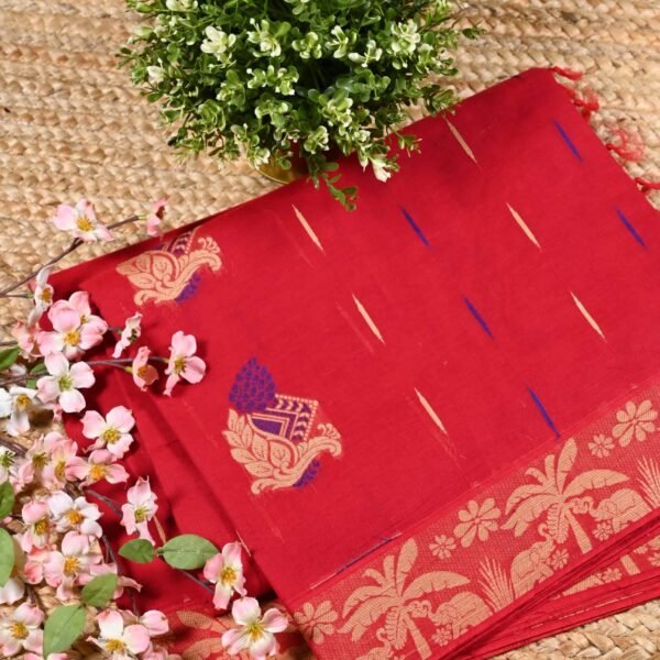 Pure Kanchi Cotton PKC 38